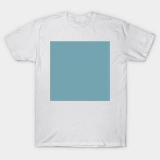 Solid Dusty Blue Lake Blue Monochrome Minimal Design T-Shirt